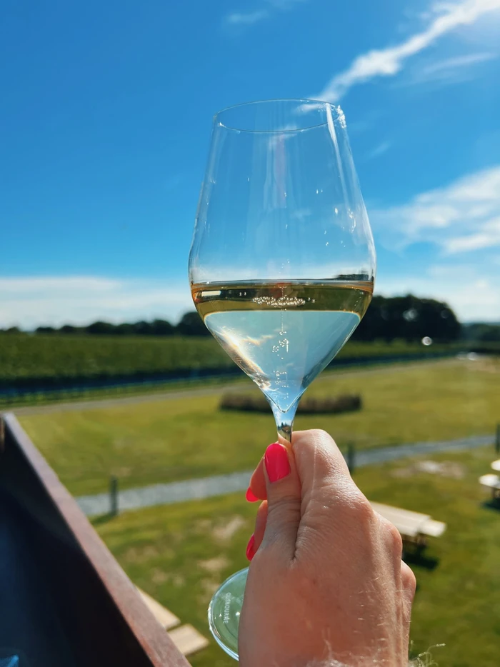 Glass of golden wine held over an English vineyard beneath a bright blue sky