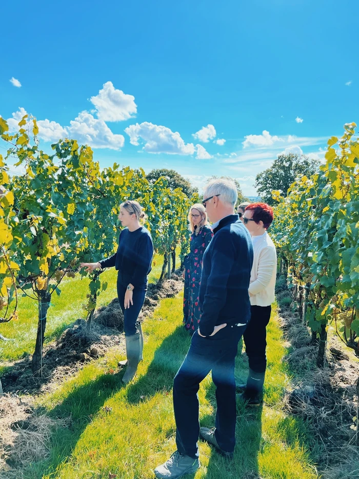 Visitors learn about grapevines during a sunny vineyard tour