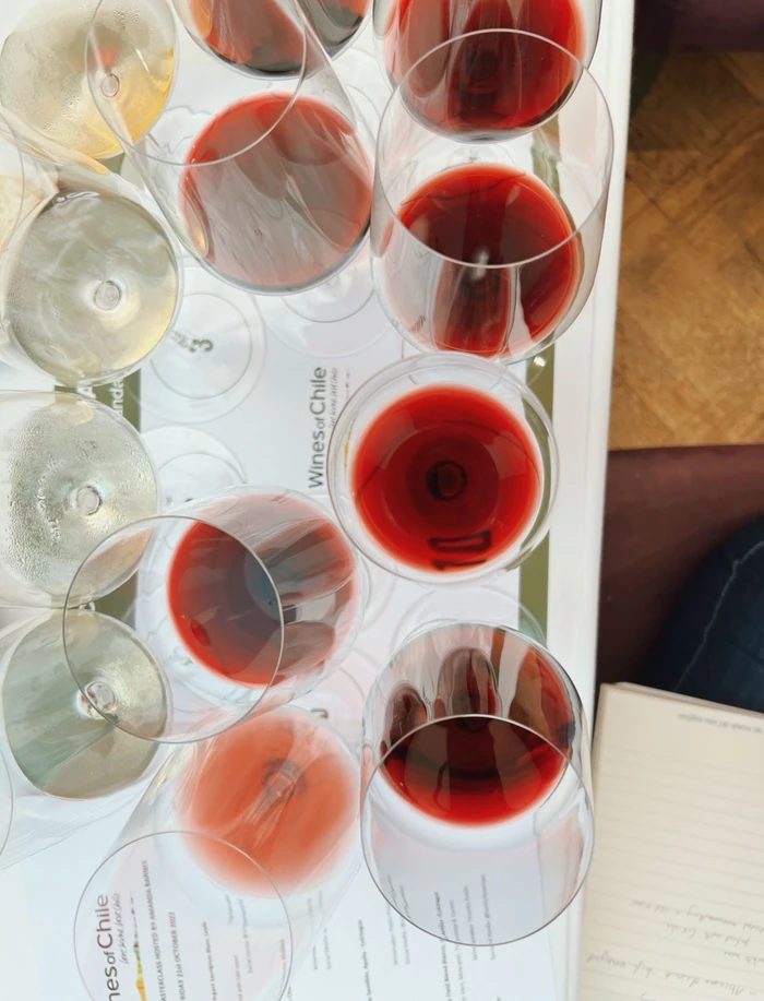 Wine tasting glasses filled with red, rosé and white wine over a Wines of Chile tasting sheet