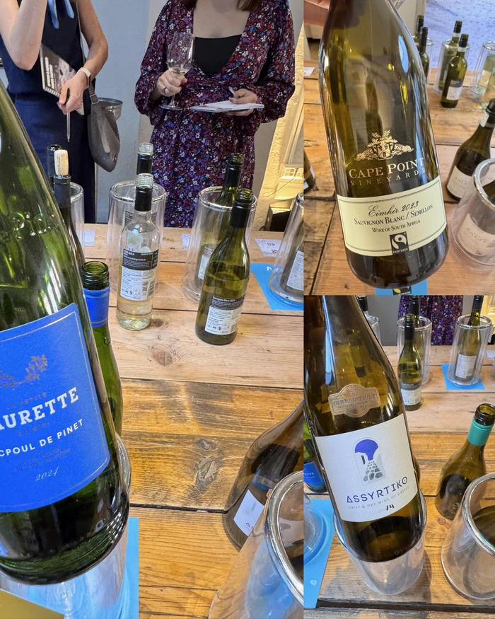 Wine tasting table with open bottles, tasting glasses and two people taking notes