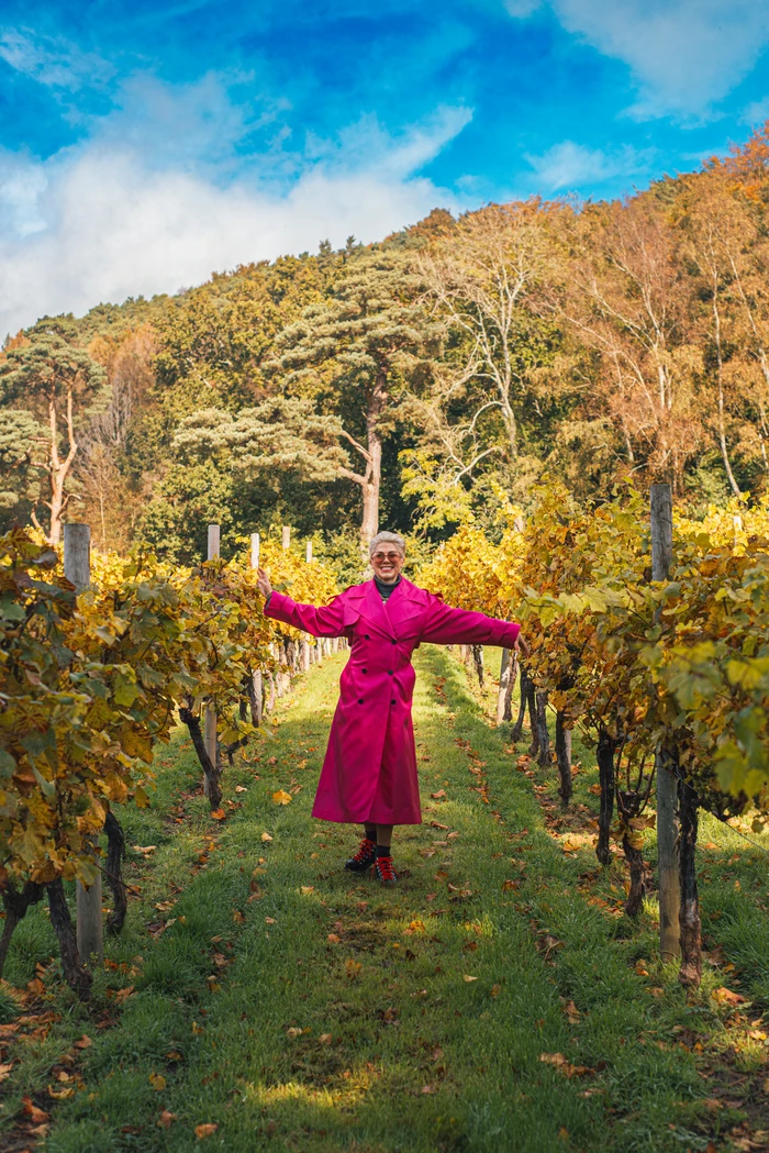Person in a bright pink coat standing between autumnal vineyard rows