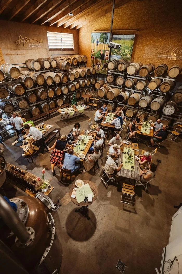 Guests tasting drinks among stacked wooden barrels in a rustic winery room