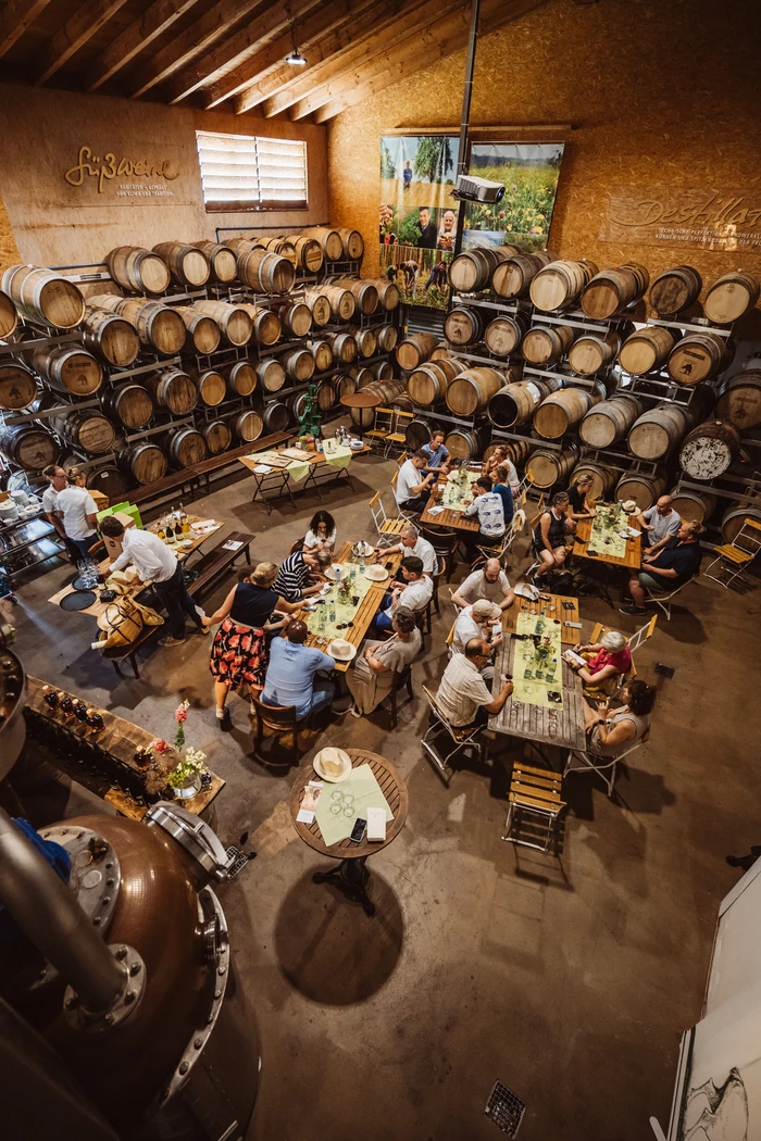 Guests tasting drinks among stacked wooden barrels in a rustic winery room