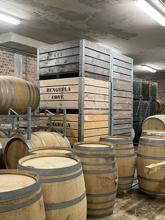 Wine barrels and wooden crates marked Benguela Cove in a cellar