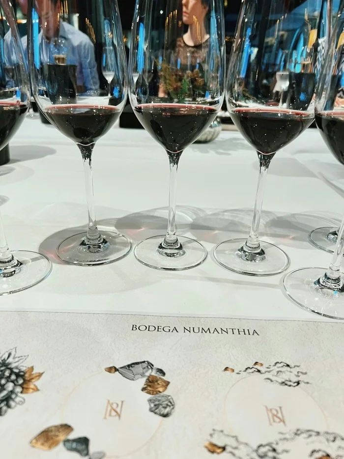 Rows of red wine glasses on a tasting table marked Bodega Numanthia