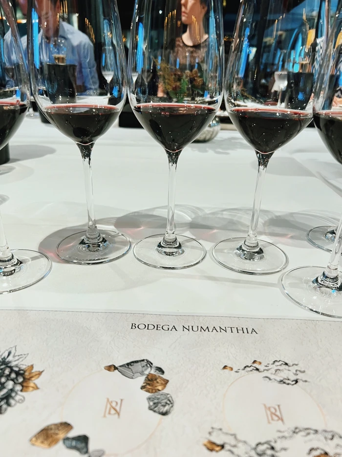 Rows of red wine glasses on a tasting table marked Bodega Numanthia