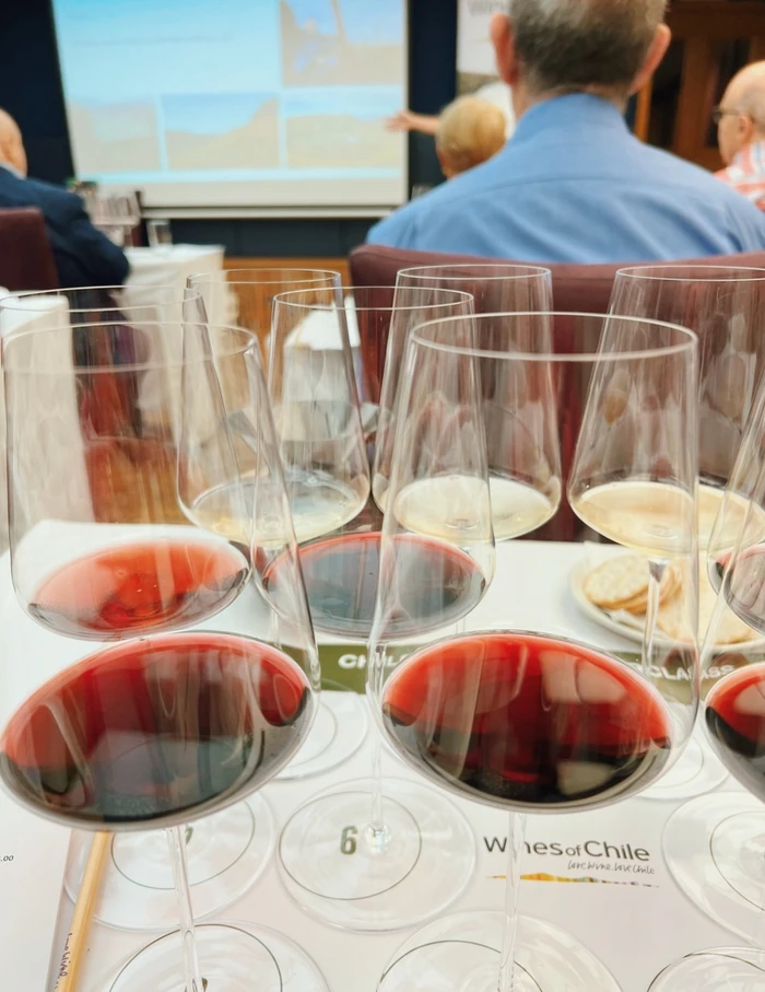 Wine tasting glasses filled with red, rosé and white wines at a seated tasting