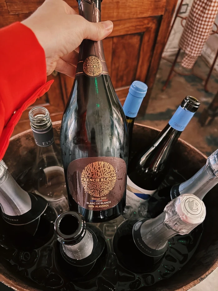 Hand holding a French Bloom Vintage 2022 bottle among chilled wine bottles