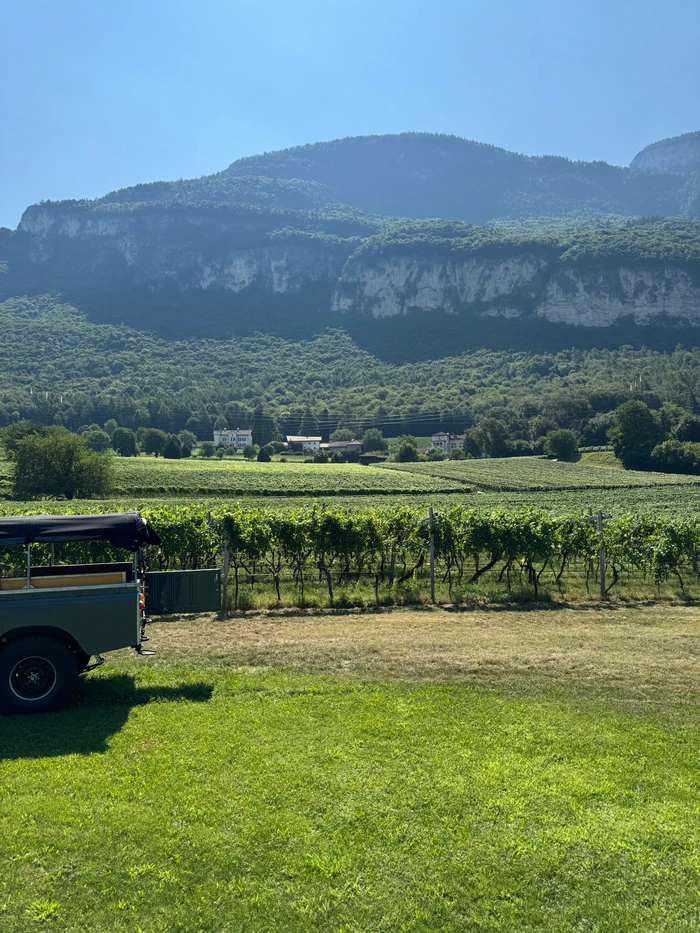 Vineyard fields and historic buildings beneath forested limestone mountains in Alto Adige