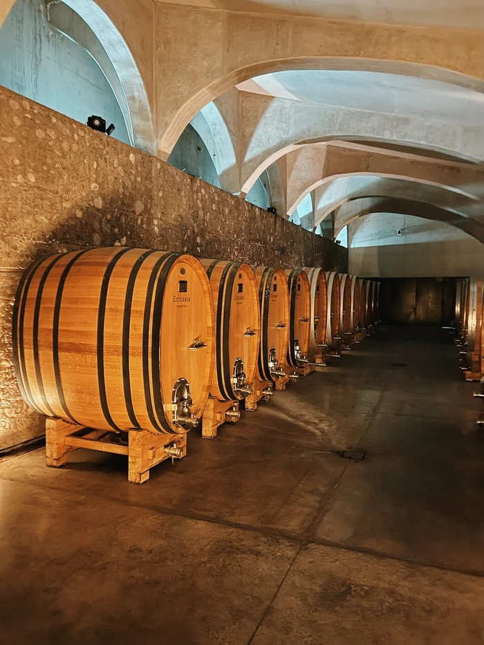 Rows of wooden wine barrels beneath vaulted stone ceilings