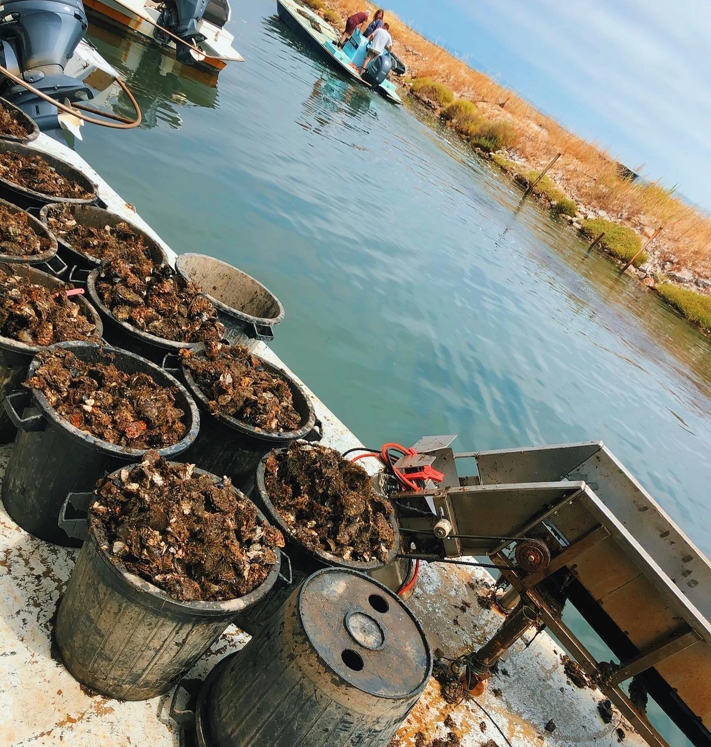 Oysters in baskets on a boat beside calm water, with two small boats and people in the background