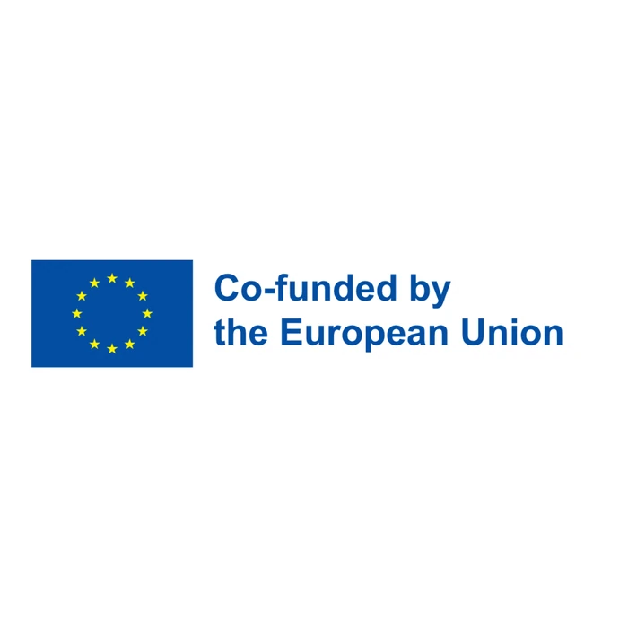 European Union flag and the words ‘Co-funded by the European Union’