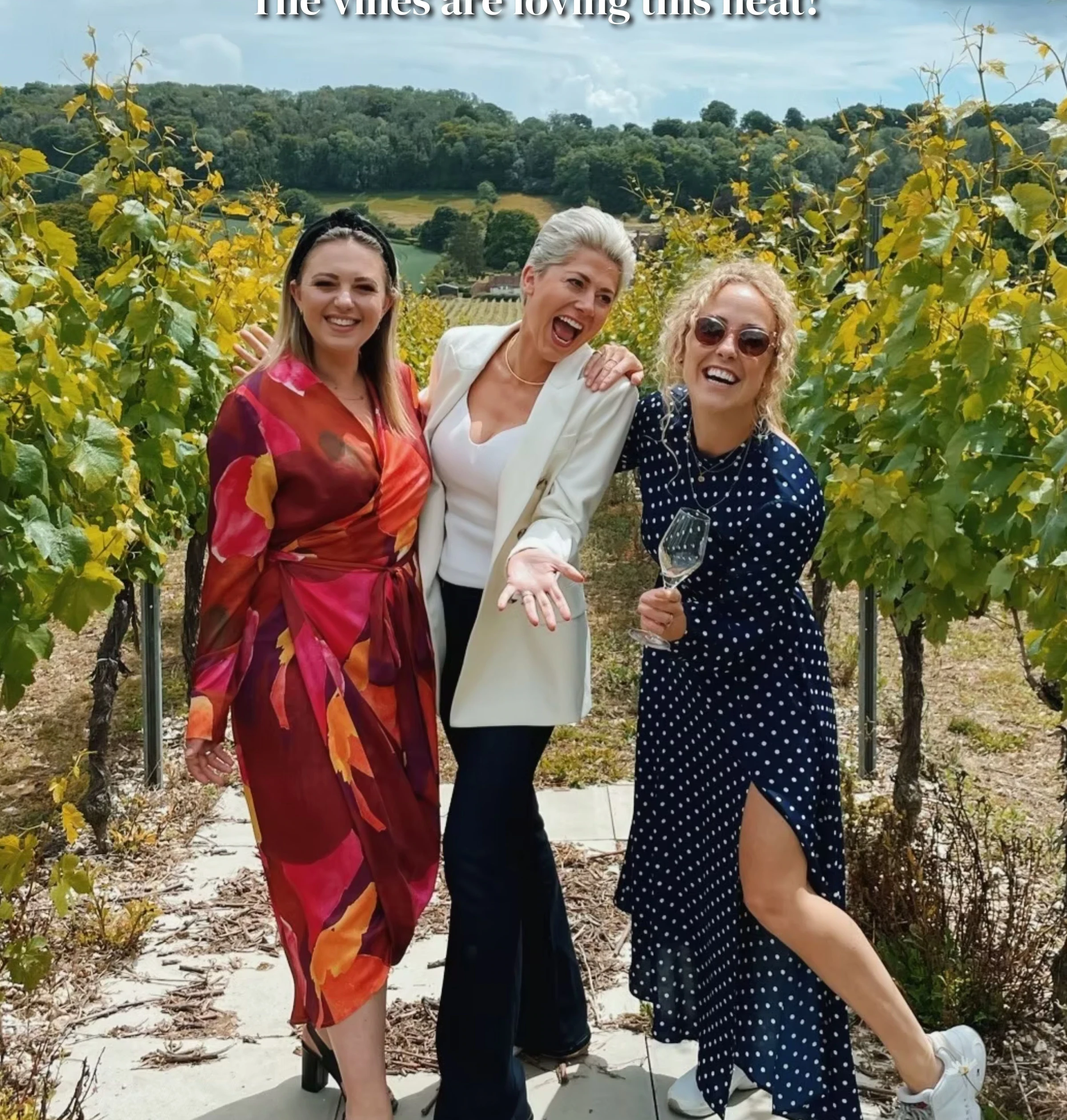 Three women laughing among vineyard vines, with a scenic valley behind them