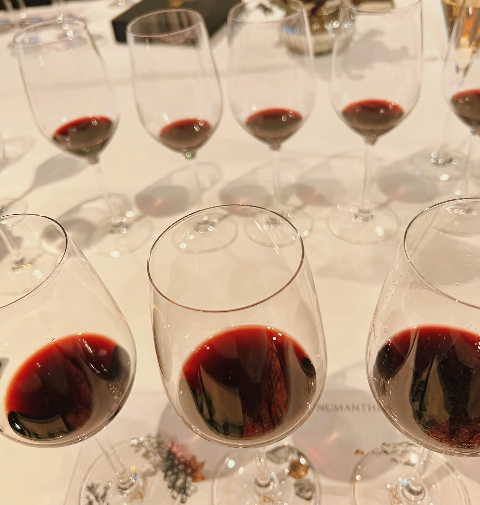 Red wines in tasting glasses arranged over a TerManthia wine card