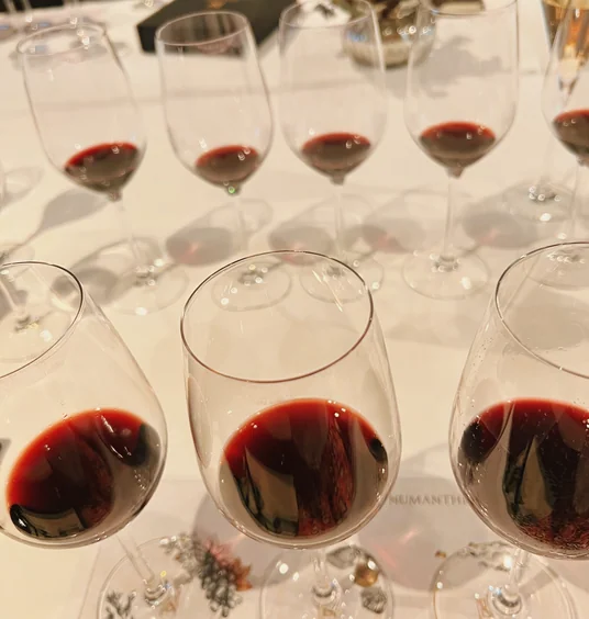 Red wines in tasting glasses arranged over a TerManthia wine card