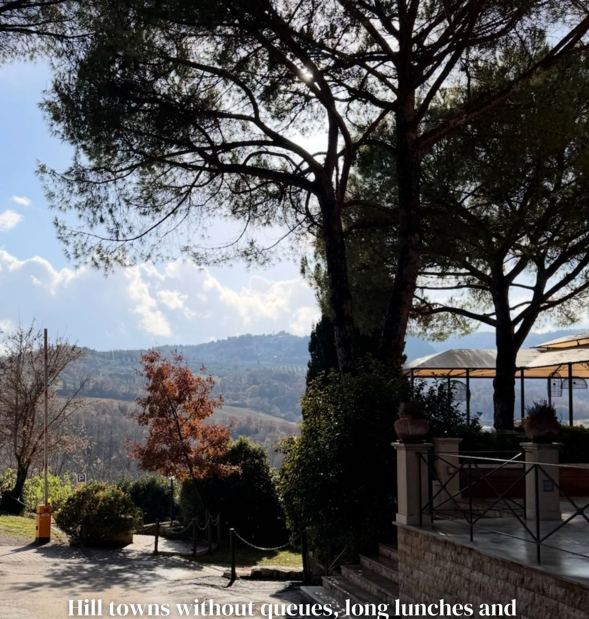 Sunny winter view of Tuscan hills framed by umbrella pines and a terrace