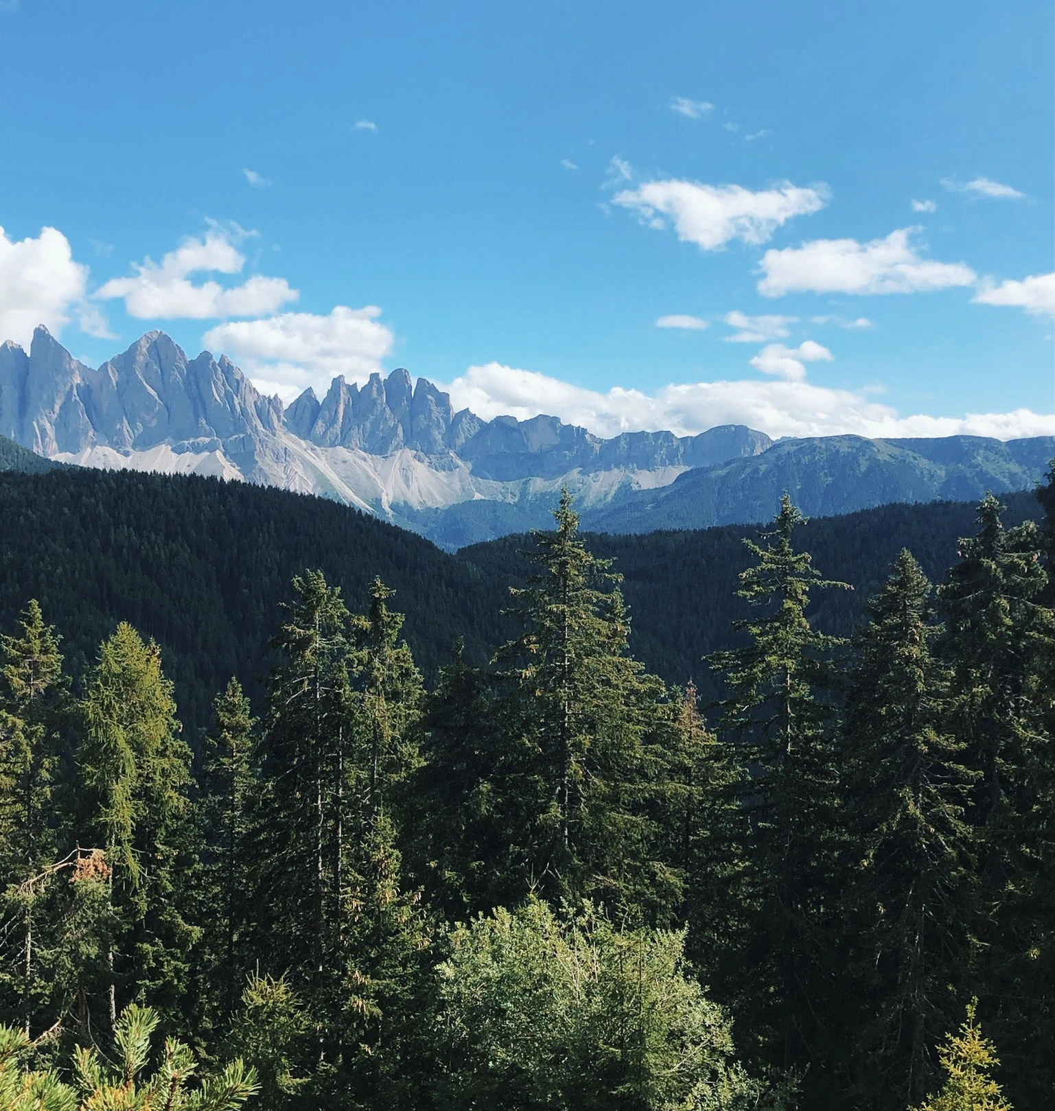 Mountain peaks and forested slopes beneath a bright blue sky in Alto Adige