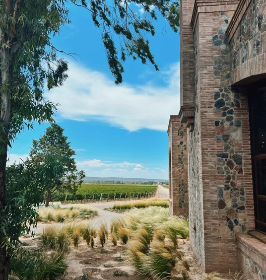 Vineyard rows beside a rustic stone and brick winery building under a bright blue sky