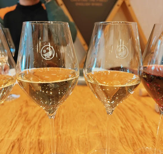 Four wine glasses containing pale and red wines, lined up on a wooden table during a tasting