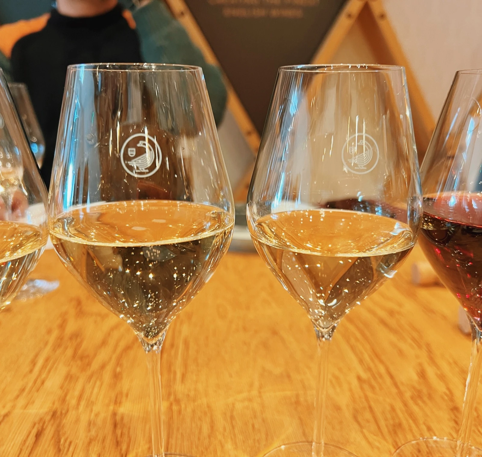 Four wine glasses containing pale and red wines, lined up on a wooden table during a tasting