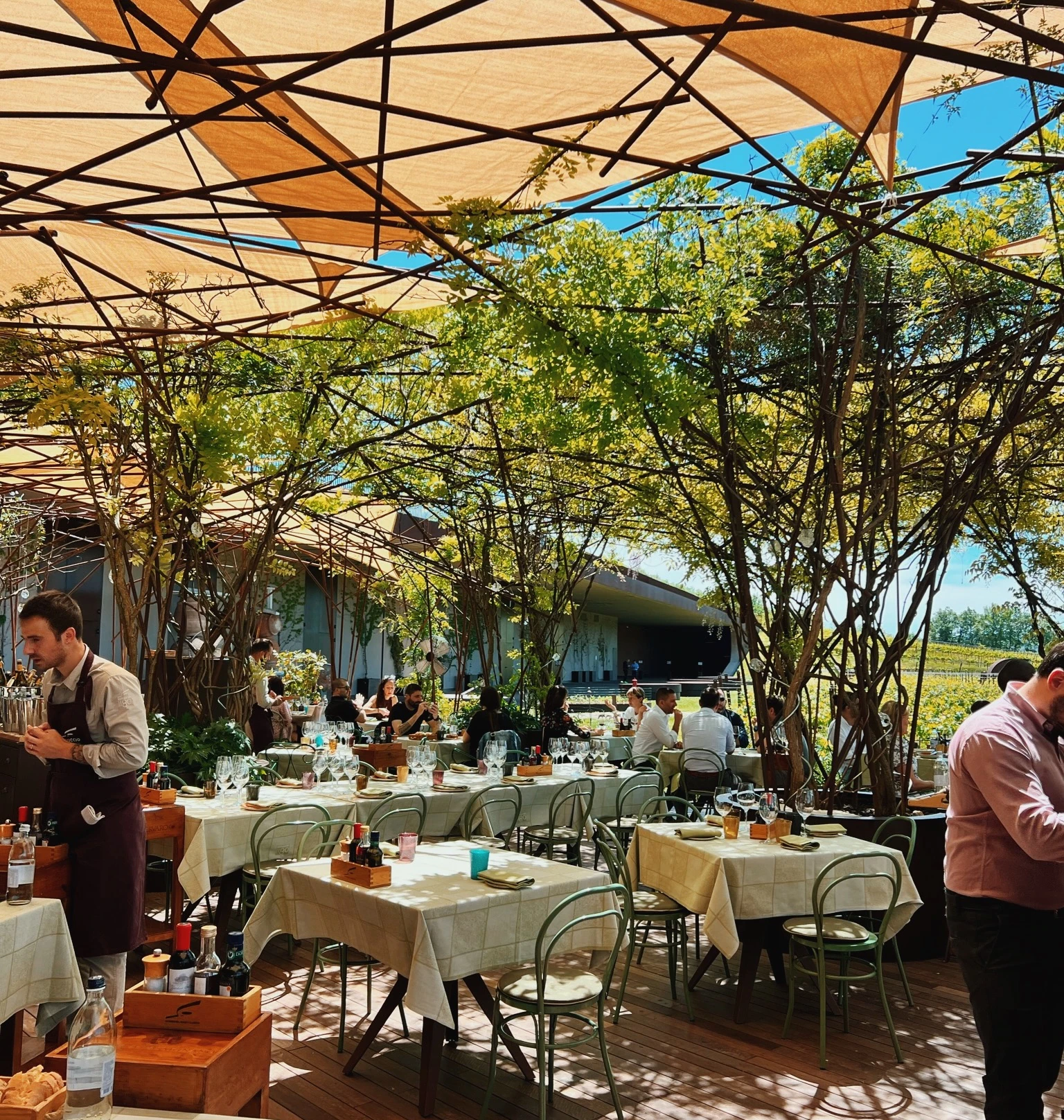 Outdoor restaurant terrace with wine-filled tables, diners and staff beneath a leafy vine canopy in Tuscany