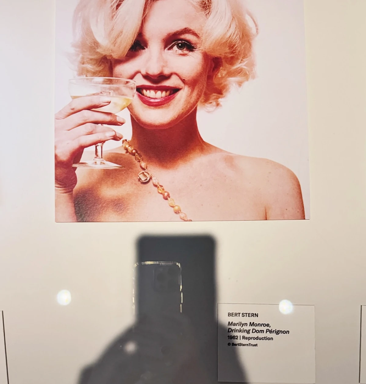 Marilyn Monroe drinking Dom Pérignon in a Bert Stern photograph, displayed in a gallery