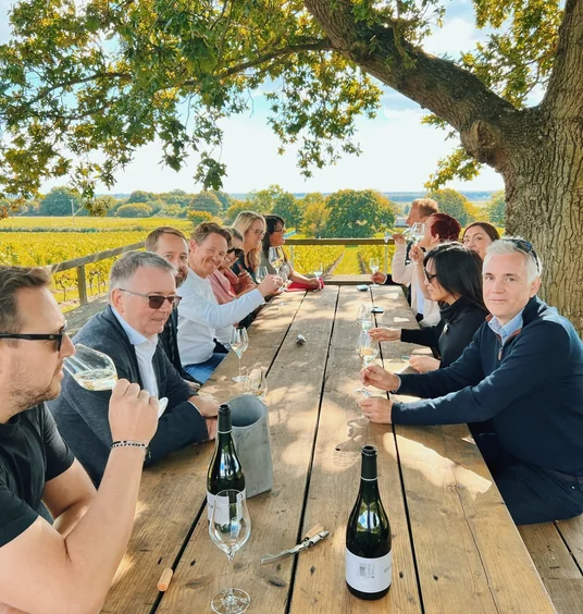 Group tasting wine at a wooden table overlooking vineyard rows beneath a large tree