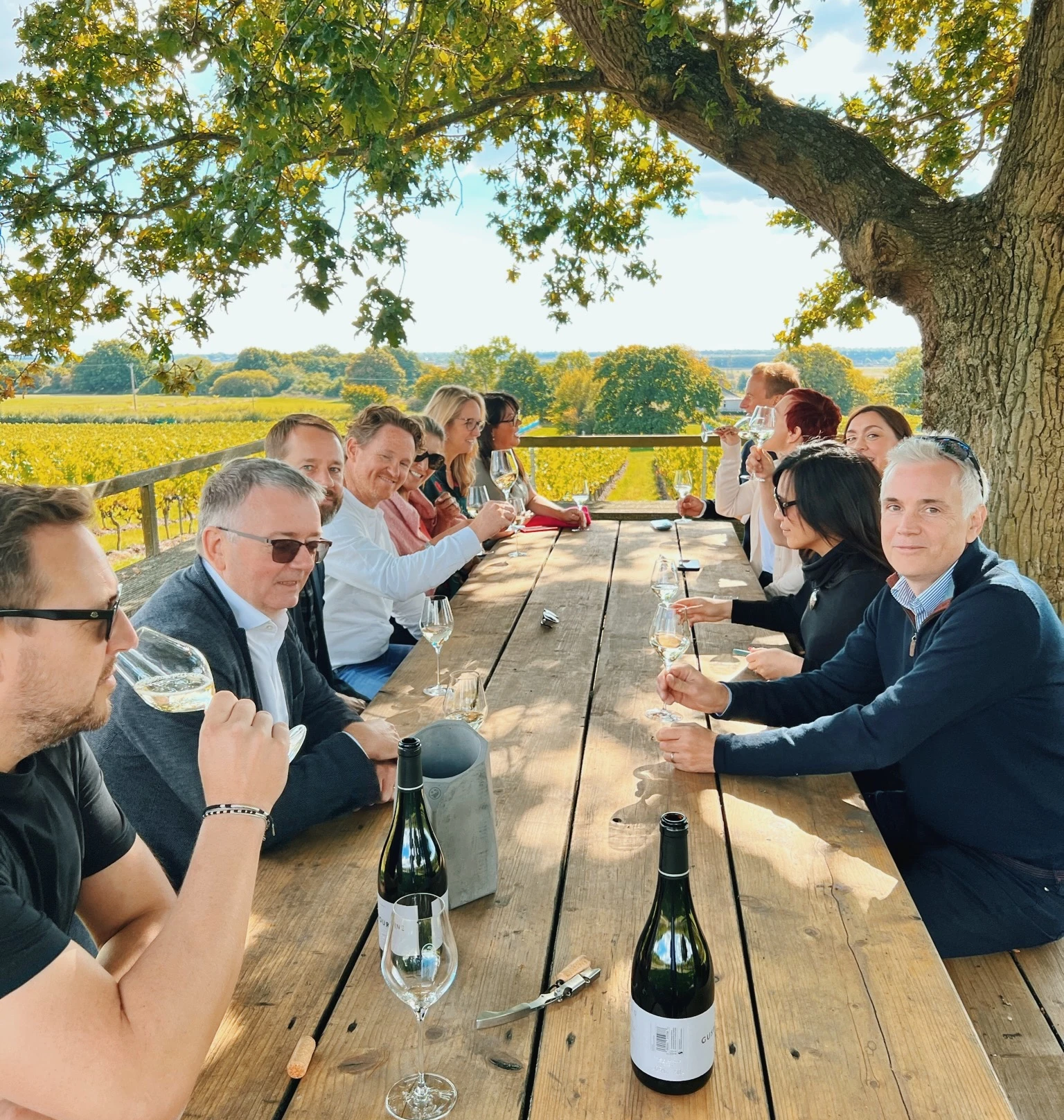 Group tasting wine at a wooden table overlooking vineyard rows beneath a large tree
