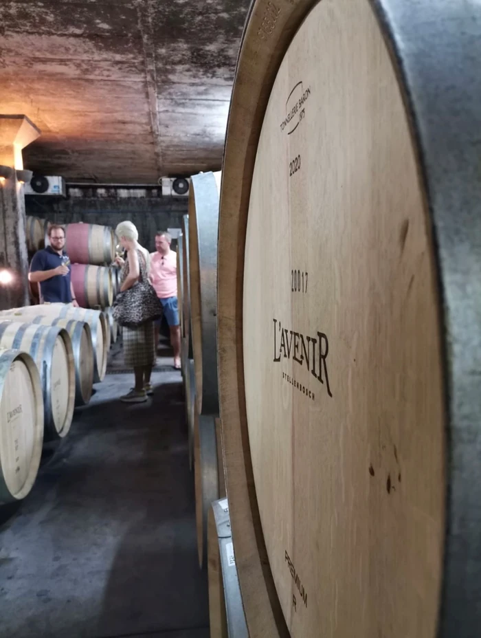 People tasting wine in a barrel cellar