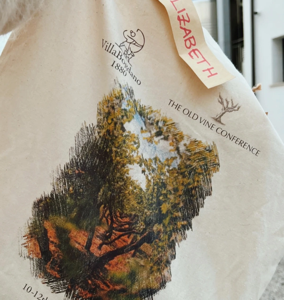 Canvas bag for The Old Vine Conference, showing a vineyard illustration and the dates 10-12th November 2022