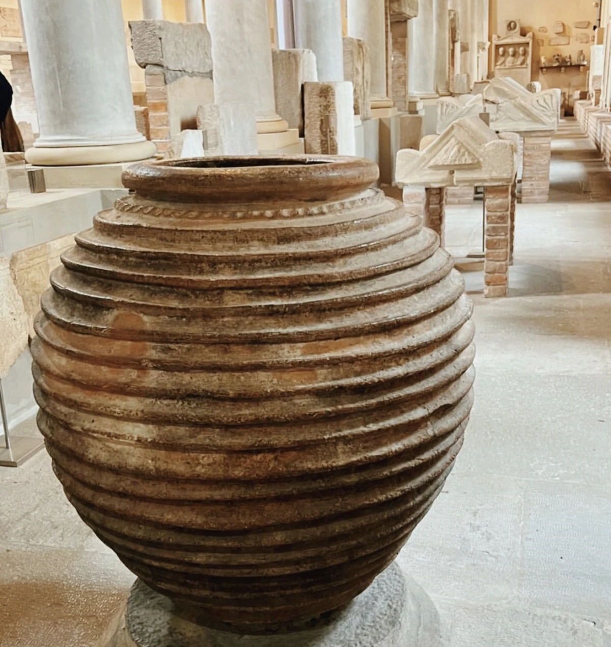 Large ancient ribbed wine vessel displayed in a columned Italian church or museum