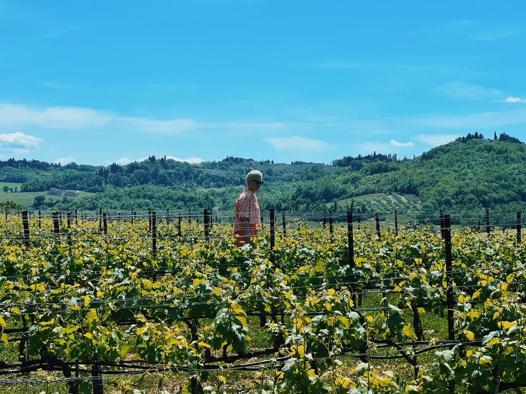 Visiting Antinori winery in Tuscany, Italy