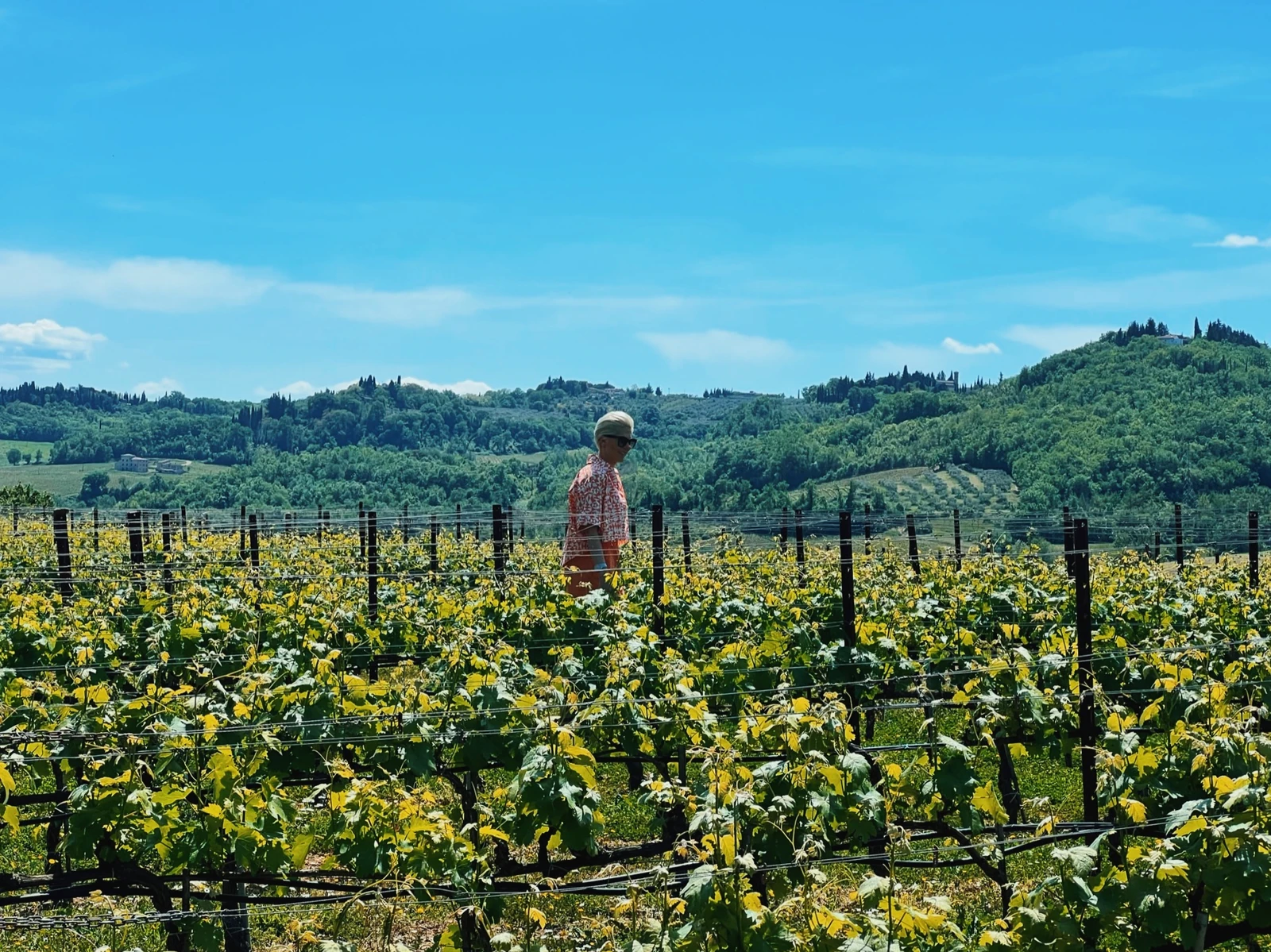 Visiting Antinori winery in Tuscany, Italy