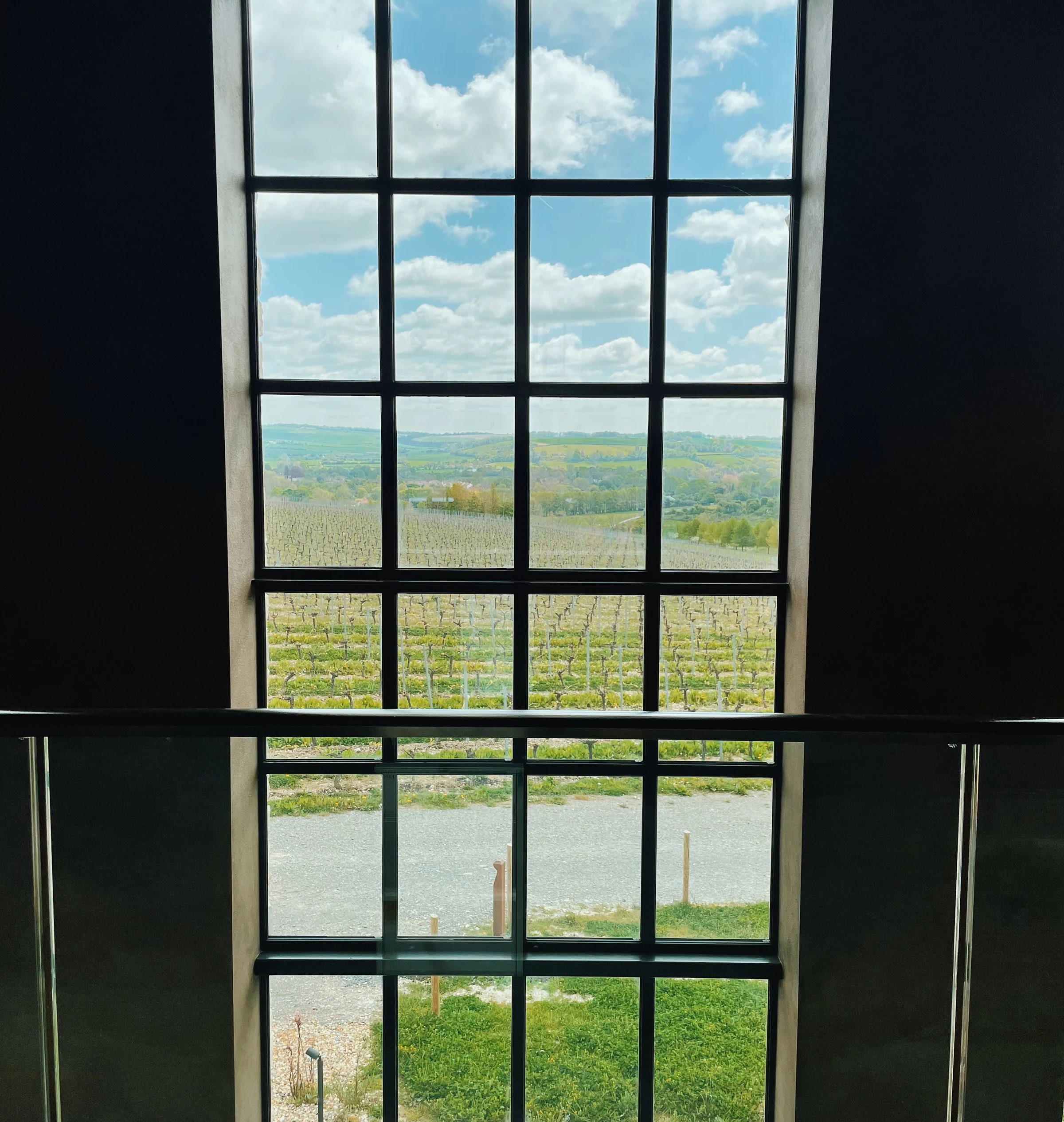 Vineyard and rolling Hampshire countryside seen through a tall, multi-paned window