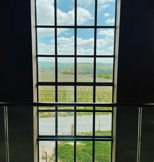 Vineyard and rolling Hampshire countryside seen through a tall, multi-paned window