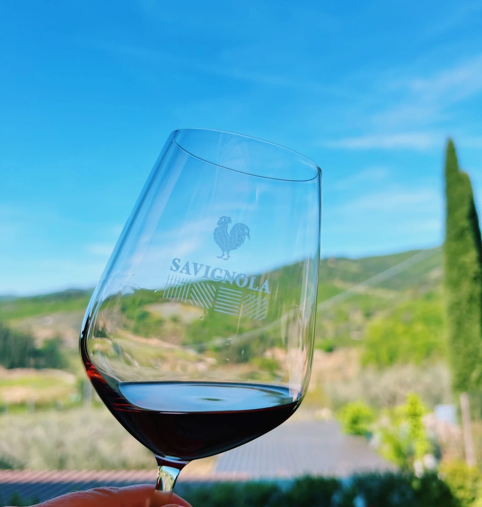 A hand holds a glass of red wine bearing the Savignola logo, with Tuscan vineyards and a cypress tree behind