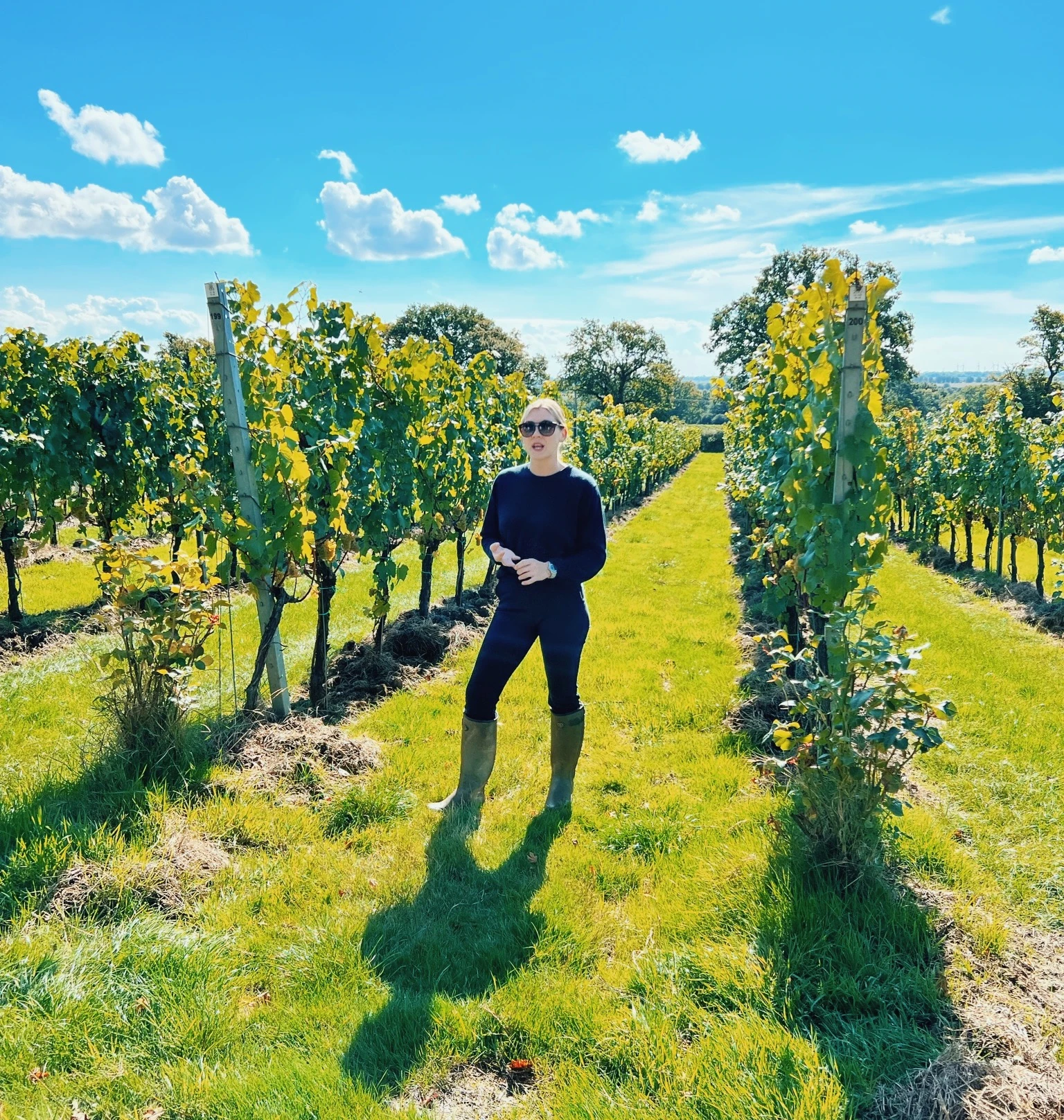 Elizabeth stands between rows of grapevines at an English vineyard under a bright blue sky.