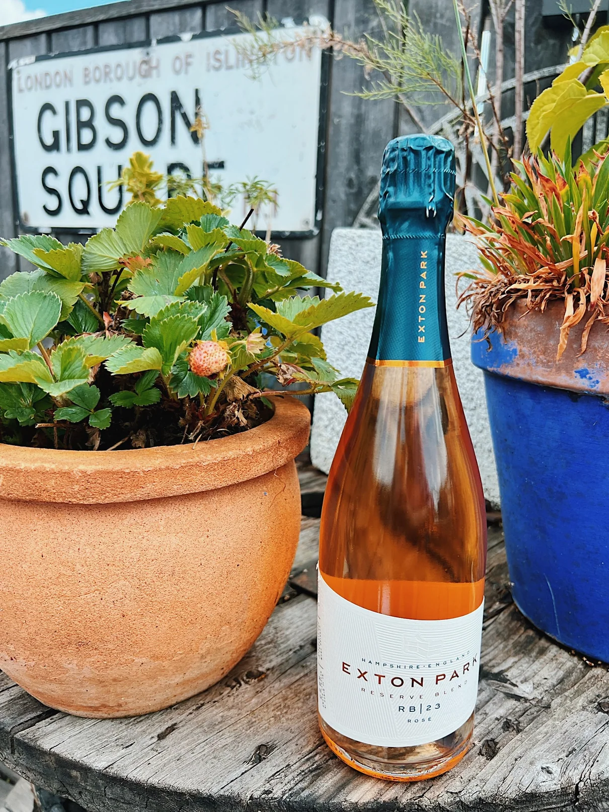 Exxton Park rosé bottle beside potted plants and Gibson Square sign