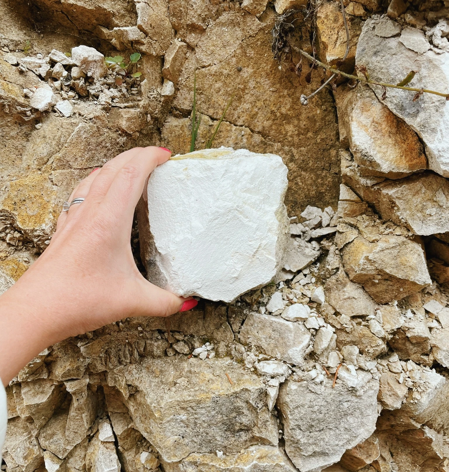 Hand holding a pale stone against a layered rocky outcrop