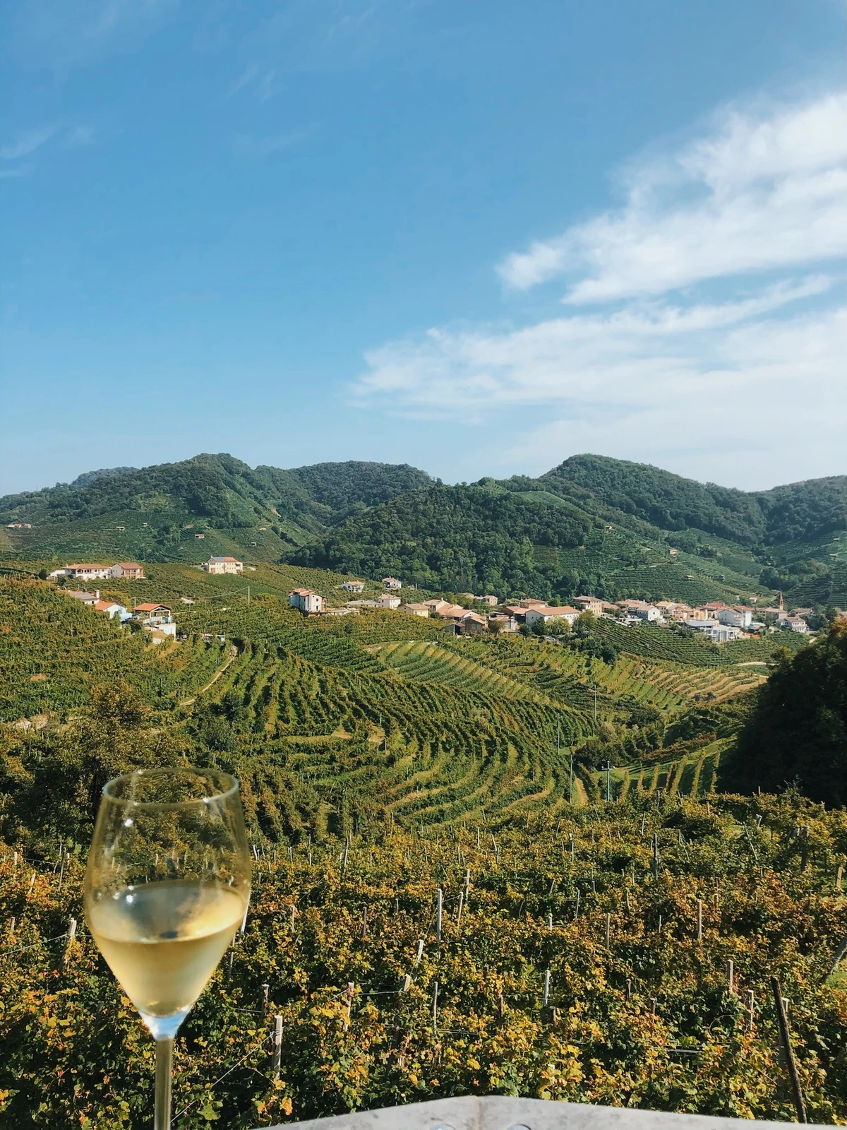 Glass of white wine overlooking terraced vineyards, village and green hills