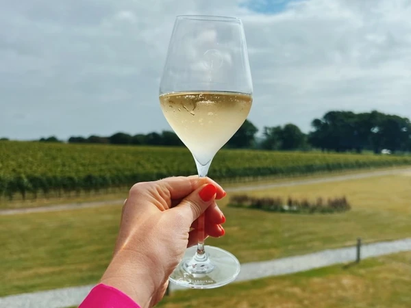 Hand holding a glass of white wine overlooking fields and trees