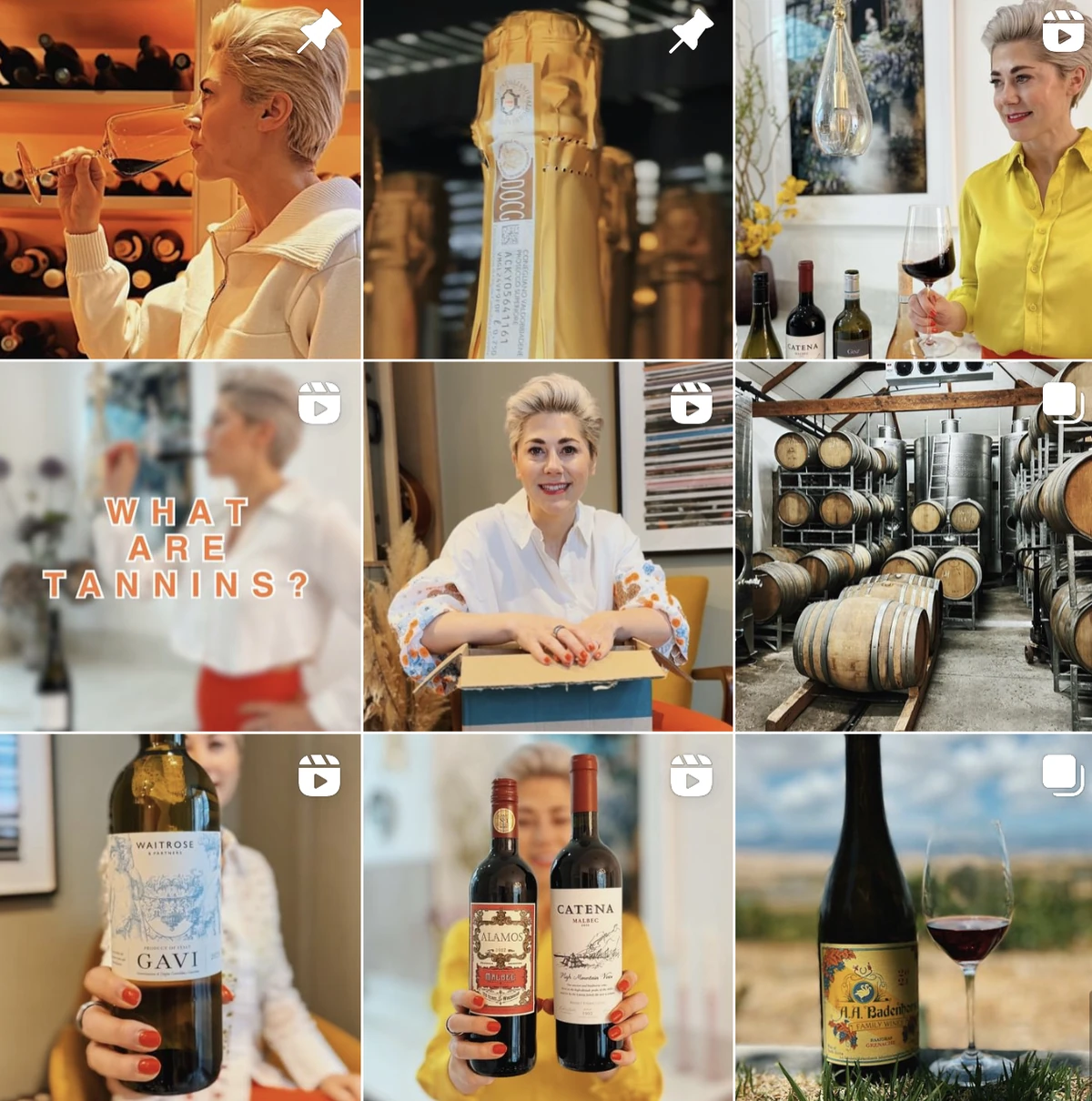 Wine-themed collage with people, bottles, barrels, and the words WHAT ARE TANNINS?