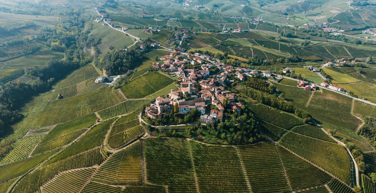 Aerial view of a village surrounded by extensive vineyards and rolling countryside