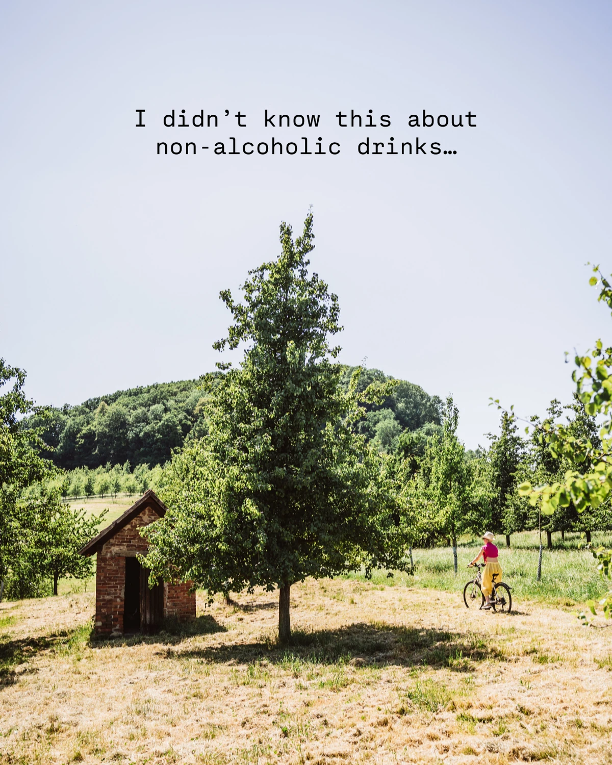 I didn’t know this about non-alcoholic drinks...; cyclist beside vineyard and brick hut