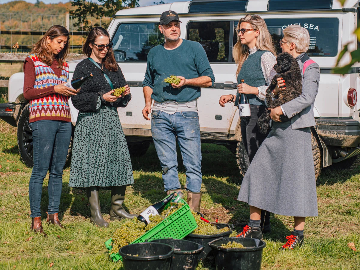 Five people holding grapes beside a campervan, with grape-filled crates and buckets nearby