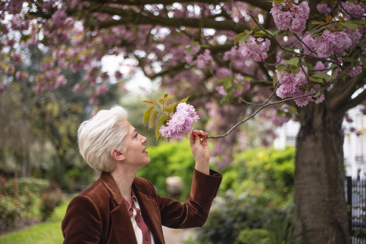Woman smelling pink cherry blossoms in a garden