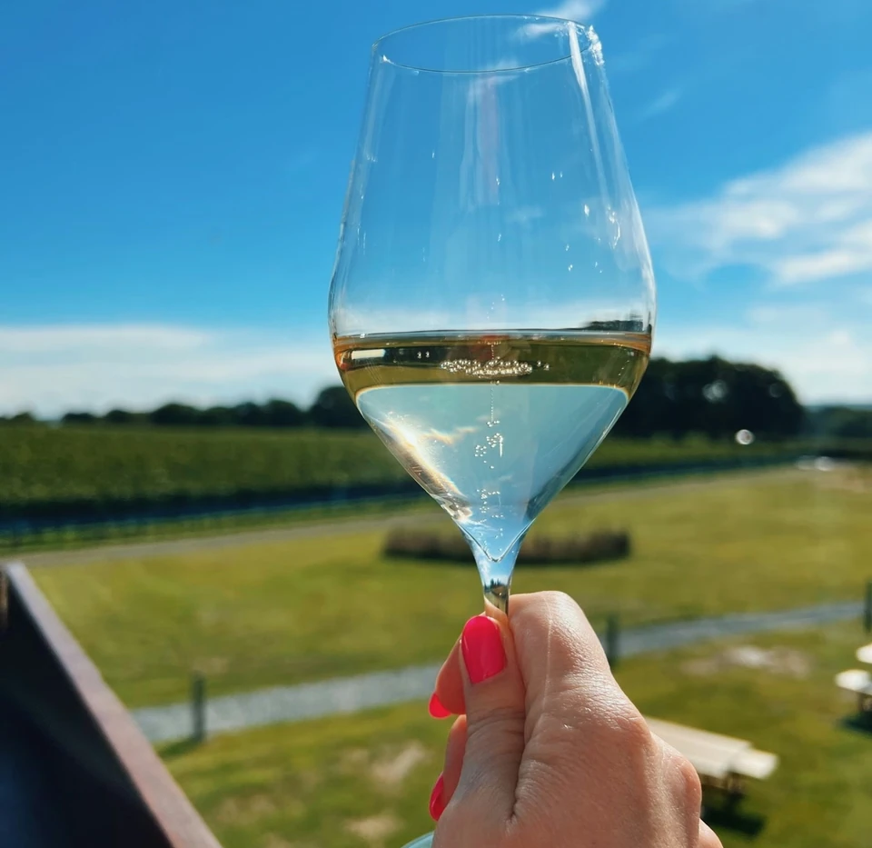 Glass of golden wine held over the Gusbourne vineyard