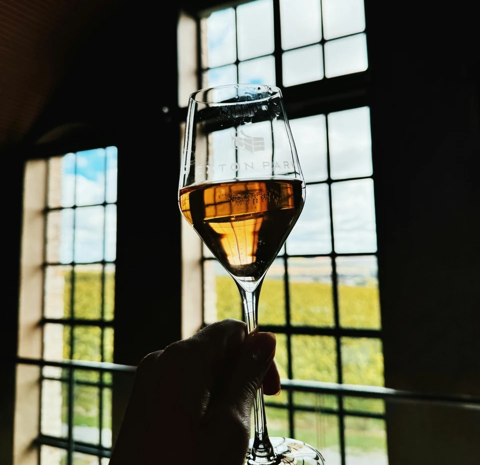 A glass of amber wine held before tall windows overlooking the Exton Park vineyard