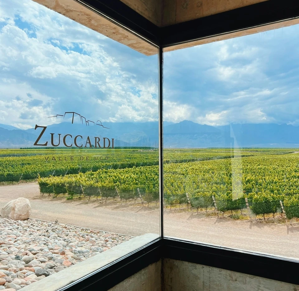 Zuccardi Valle de Uco vineyard and mountains seen through a winery window