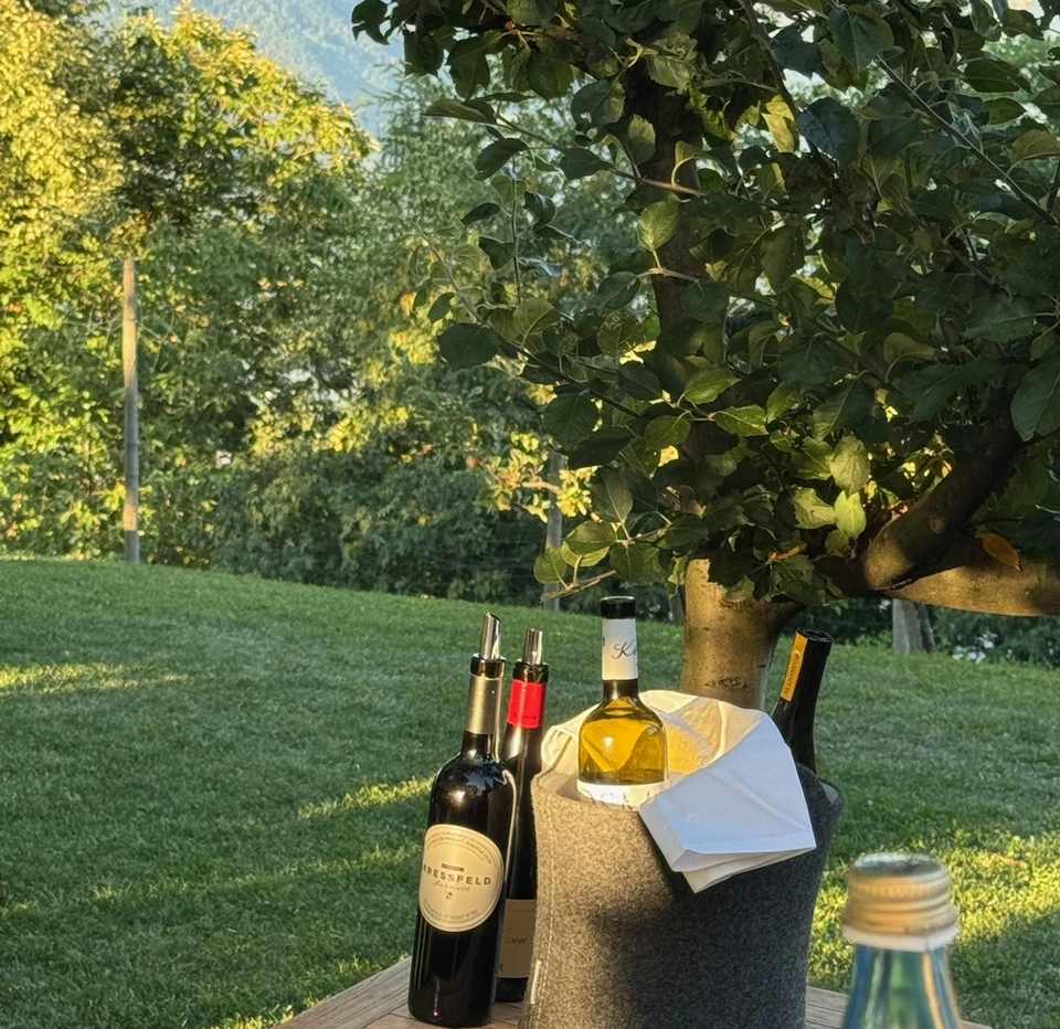 Wine bottles and glasses on a garden table beneath an apple tree, with mountains beyond